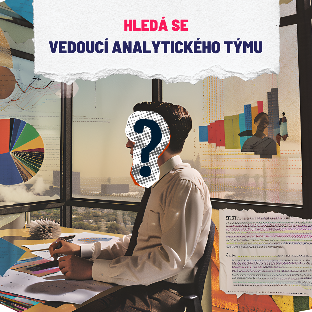 Garant/ka obsahu / Vedoucí analytického týmu