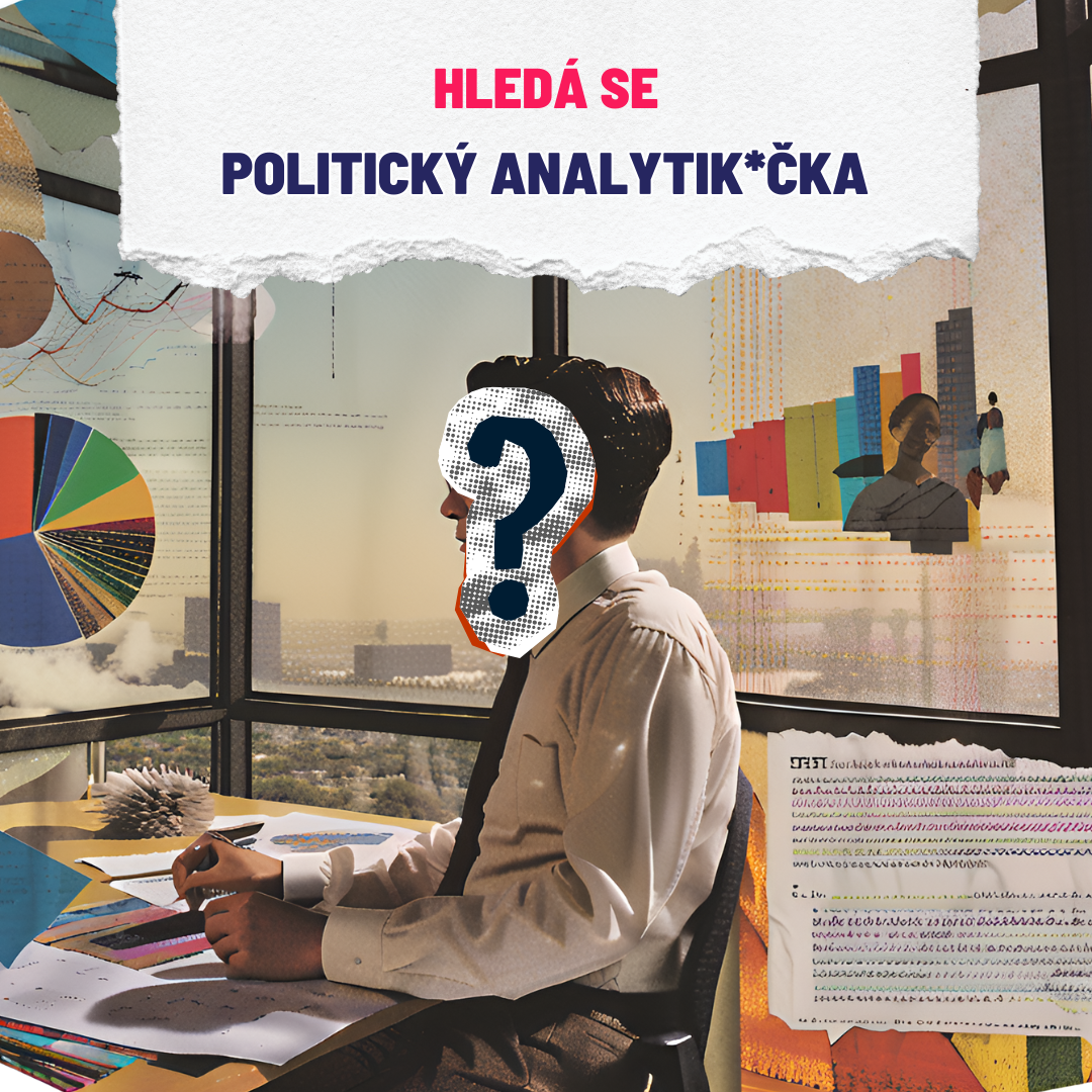 Hledá se POLITICKÝ ANALYTIK*ČKA! Staň se součástí týmu Milionu chvilek