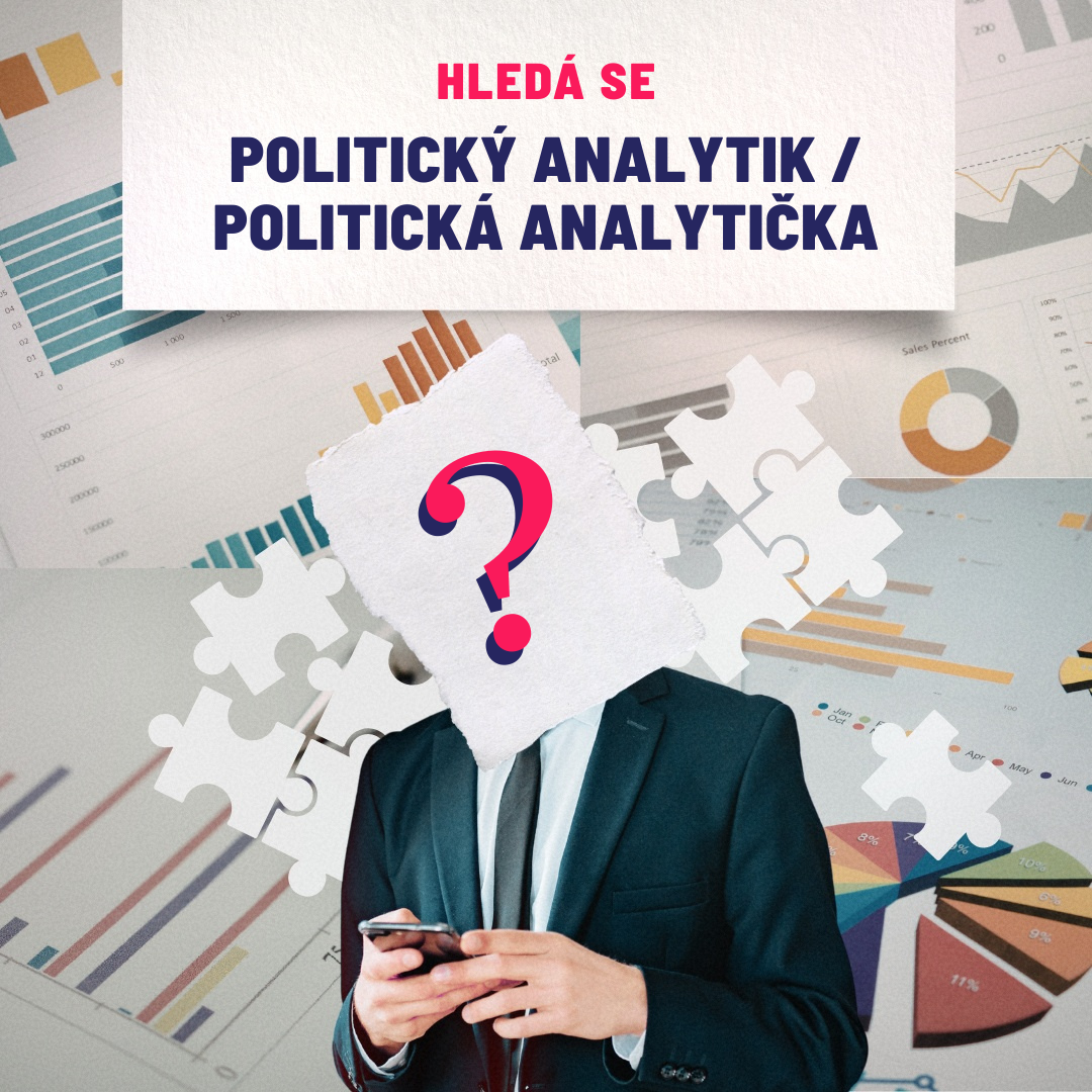 Politický analytik / politická analytička